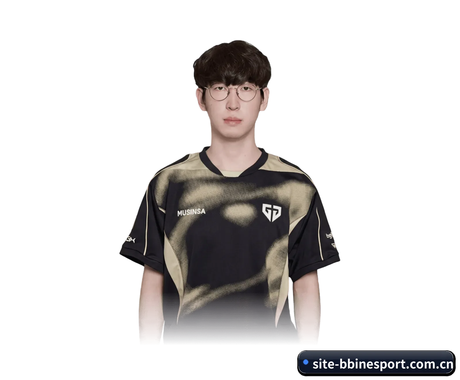 BBIN电子的来历